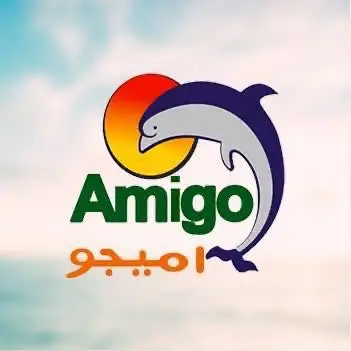 اميجو جروب